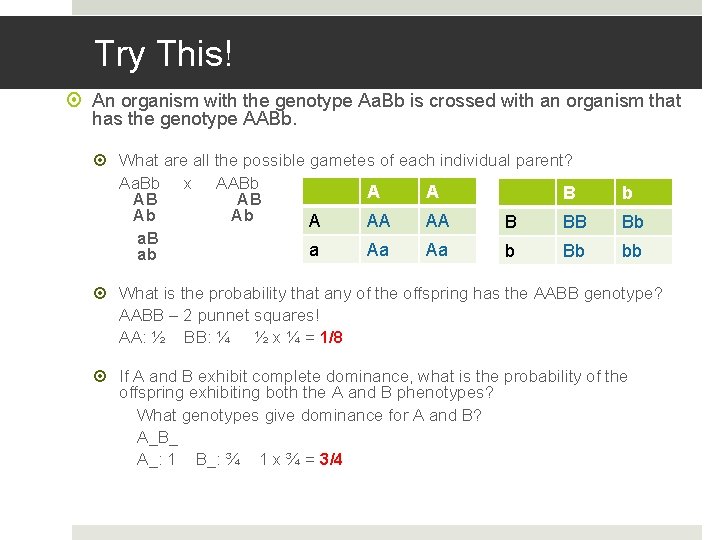Try This! An organism with the genotype Aa. Bb is crossed with an organism