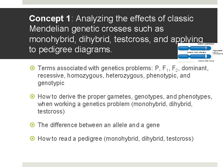 Concept 1: Analyzing the effects of classic Mendelian genetic crosses such as monohybrid, dihybrid,