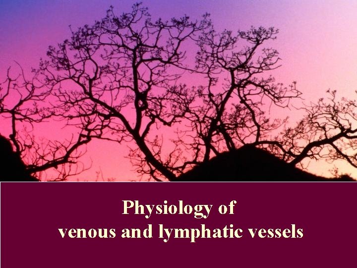 Physiology of venous and lymphatic vessels 