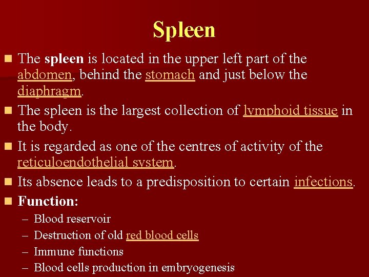 Spleen The spleen is located in the upper left part of the abdomen, behind