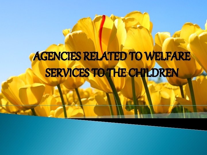 AGENCIES RELATED TO WELFARE SERVICES TO THE CHILDREN 