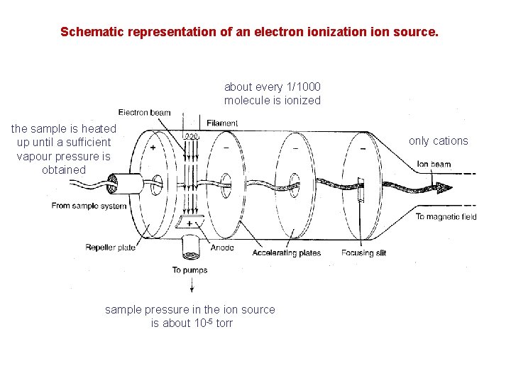 Schematic representation of an electron ionization source. about every 1/1000 molecule is ionized the