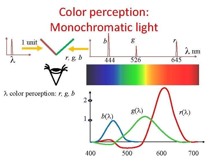 Color perception: Monochromatic light 1 unit r, g, b color perception: r, g, b Color perception: Monochromatic light 1 unit r, g, b color perception: r, g, b