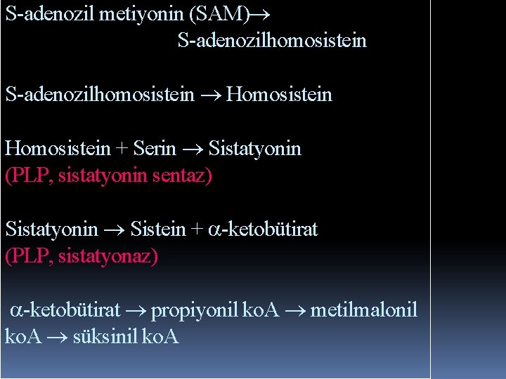 S-adenozil metiyonin (SAM) S-adenozilhomosistein Homosistein + Serin Sistatyonin (PLP, sistatyonin sentaz) Sistatyonin Sistein + S-adenozil metiyonin (SAM) S-adenozilhomosistein Homosistein + Serin Sistatyonin (PLP, sistatyonin sentaz) Sistatyonin Sistein +