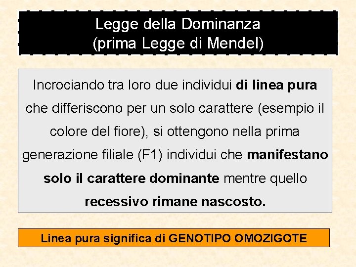 Legge della Dominanza (prima Legge di Mendel) Incrociando tra loro due individui di linea Legge della Dominanza (prima Legge di Mendel) Incrociando tra loro due individui di linea