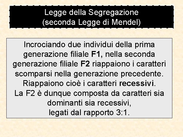 Legge della Segregazione (seconda Legge di Mendel) Incrociando due individui della prima generazione filiale Legge della Segregazione (seconda Legge di Mendel) Incrociando due individui della prima generazione filiale