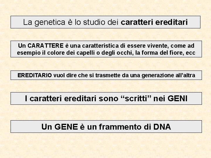 La genetica è lo studio dei caratteri ereditari Un CARATTERE è una caratteristica di La genetica è lo studio dei caratteri ereditari Un CARATTERE è una caratteristica di