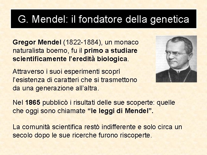 G. Mendel: il fondatore della genetica Gregor Mendel (1822 -1884), un monaco naturalista boemo, G. Mendel: il fondatore della genetica Gregor Mendel (1822 -1884), un monaco naturalista boemo,