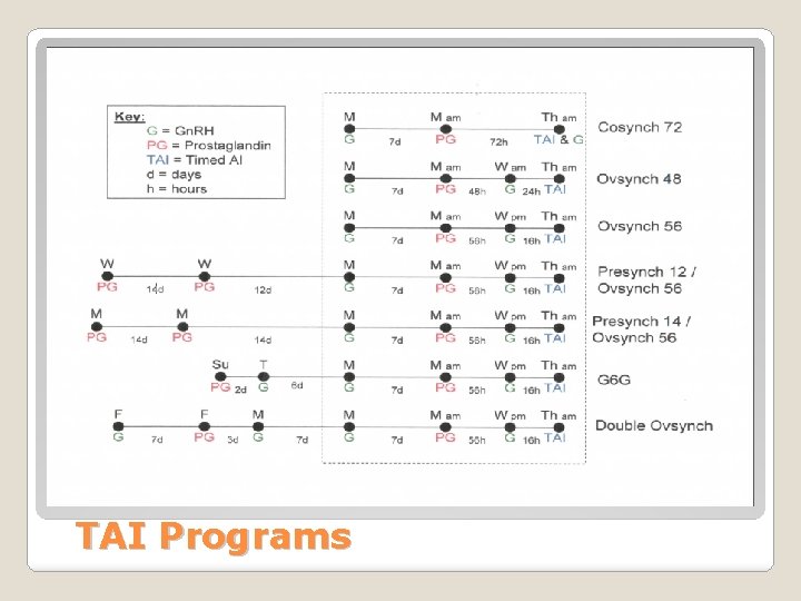 TAI Programs 