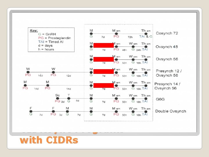 CIDRSync Programs with CIDRs 