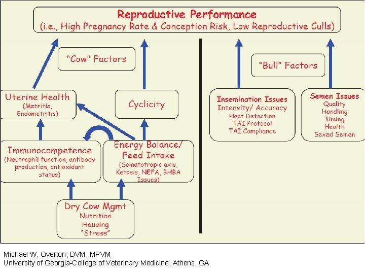 Michael W. Overton, DVM, MPVM University of Georgia-College of Veterinary Medicine, Athens, GA 