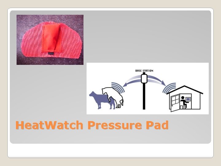 Heat. Watch Pressure Pad 