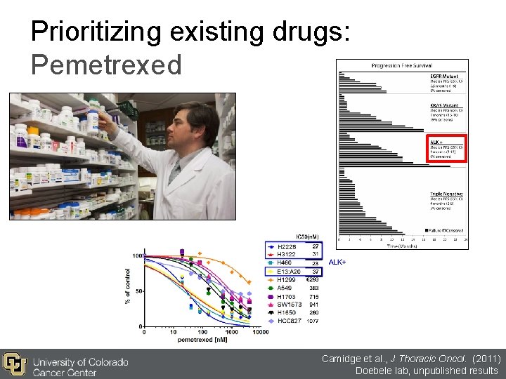 Prioritizing existing drugs: Pemetrexed Camidge et al. , J Thoracic Oncol. (2011) Doebele lab, Prioritizing existing drugs: Pemetrexed Camidge et al. , J Thoracic Oncol. (2011) Doebele lab,