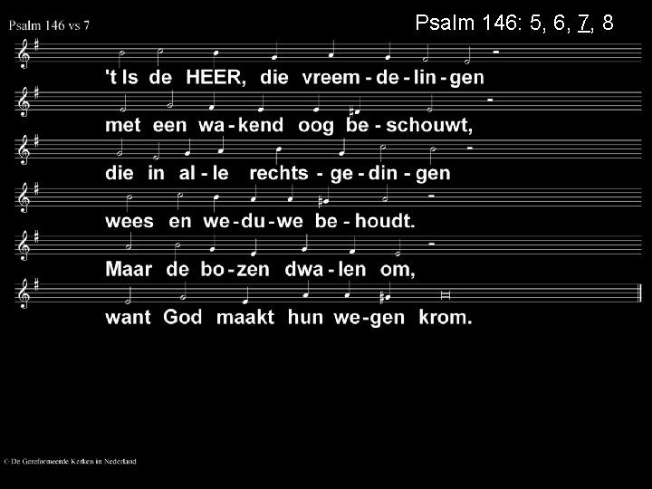 Psalm 146: 5, 6, 7, 8 