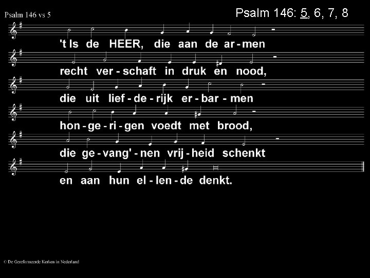 Psalm 146: 5, 6, 7, 8 