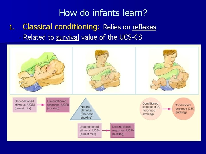How do infants learn? 1. Classical conditioning: Relies on reflexes - Related to survival