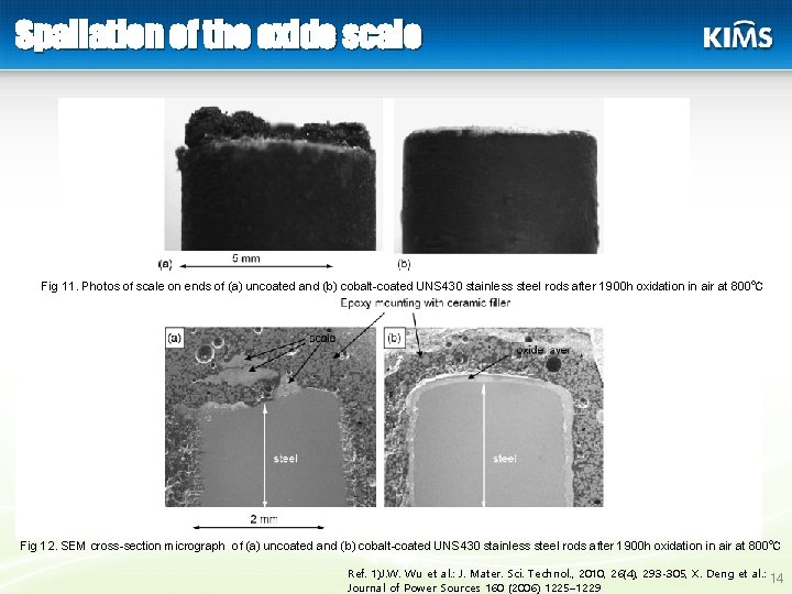 Spallation of the oxide scale Fig 11. Photos of scale on ends of (a)