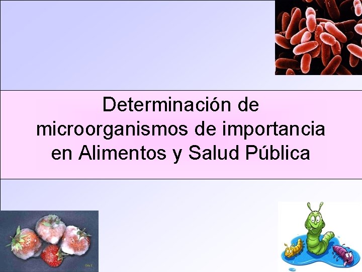 Determinación de microorganismos de importancia en Alimentos y Salud Pública 