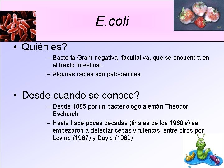 E. coli • Quién es? – Bacteria Gram negativa, facultativa, que se encuentra en