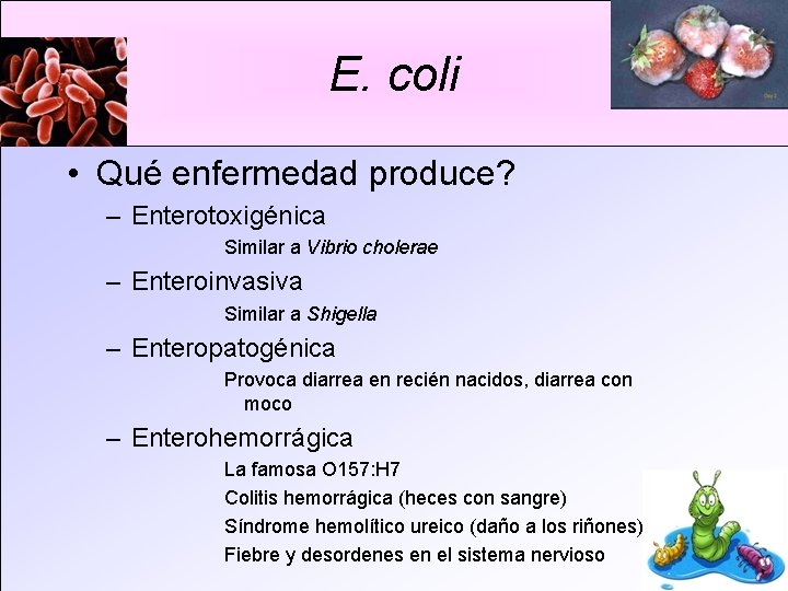 E. coli • Qué enfermedad produce? – Enterotoxigénica Similar a Vibrio cholerae – Enteroinvasiva