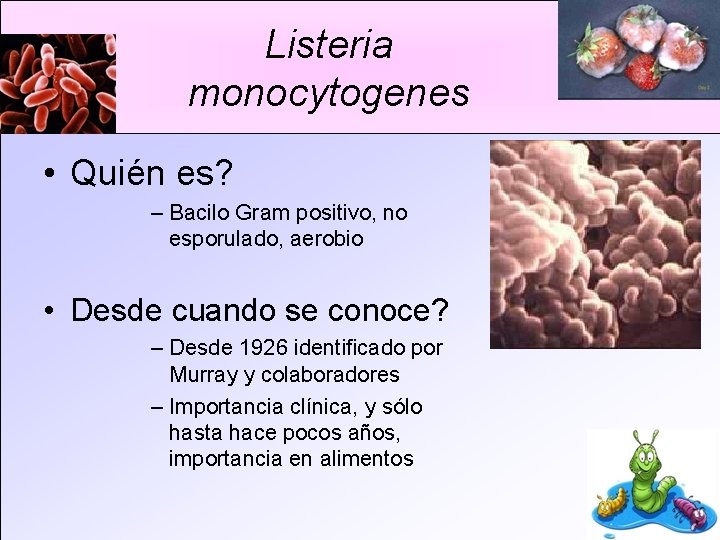 Listeria monocytogenes • Quién es? – Bacilo Gram positivo, no esporulado, aerobio • Desde
