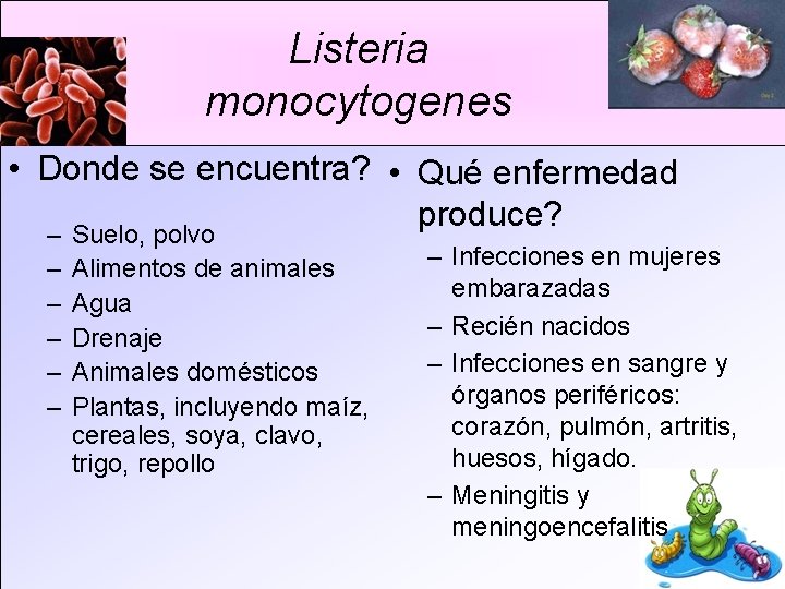 Listeria monocytogenes • Donde se encuentra? • Qué enfermedad produce? – Suelo, polvo –