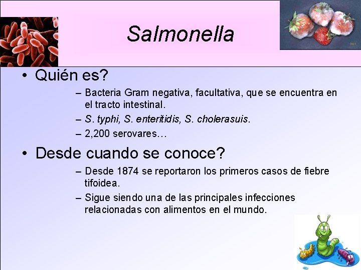 Salmonella • Quién es? – Bacteria Gram negativa, facultativa, que se encuentra en el