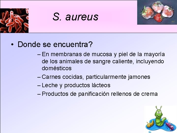 S. aureus • Donde se encuentra? – En membranas de mucosa y piel de