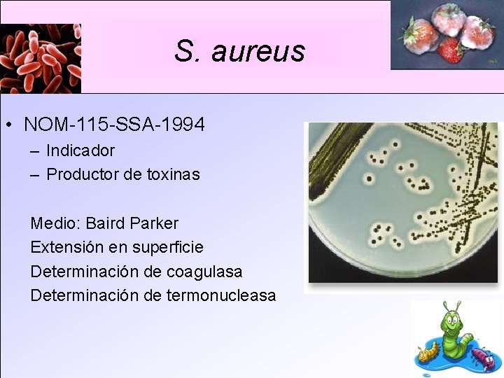 S. aureus • NOM-115 -SSA-1994 – Indicador – Productor de toxinas Medio: Baird Parker