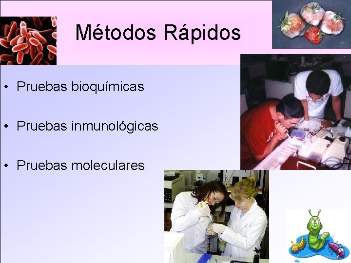 Métodos Rápidos • Pruebas bioquímicas • Pruebas inmunológicas • Pruebas moleculares 