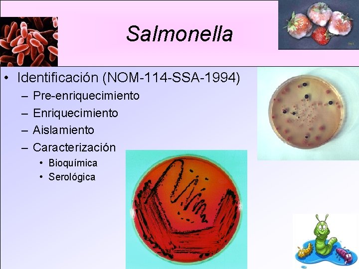 Salmonella • Identificación (NOM-114 -SSA-1994) – – Pre-enriquecimiento Enriquecimiento Aislamiento Caracterización • Bioquímica •
