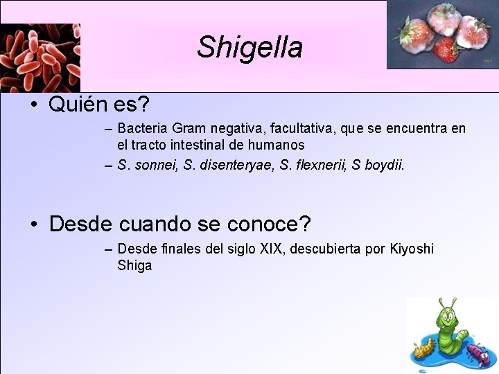 Shigella • Quién es? – Bacteria Gram negativa, facultativa, que se encuentra en el