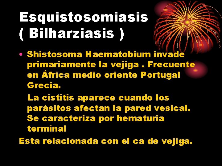 Esquistosomiasis ( Bilharziasis ) • Shistosoma Haematobium invade primariamente la vejiga. Frecuente en África