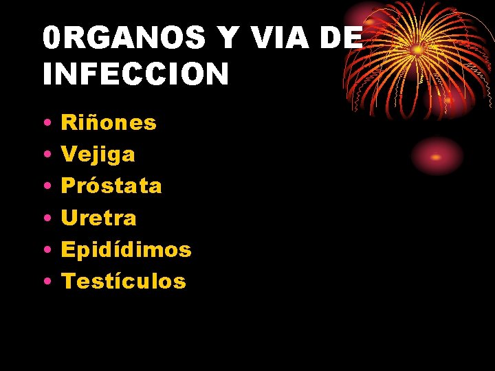 0 RGANOS Y VIA DE INFECCION • • • Riñones Vejiga Próstata Uretra Epidídimos