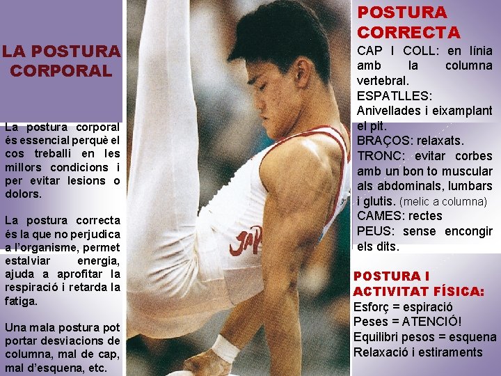 LA POSTURA CORPORAL La postura corporal és essencial perquè el cos treballi en les