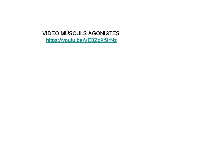 VIDEO MÚSCULS AGONISTES https: //youtu. be/VE 8 Zg. X 5 Ir. Ns 