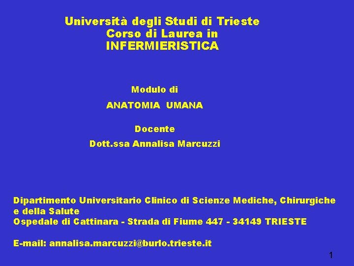 Università degli Studi di Trieste Corso di Laurea in INFERMIERISTICA Modulo di ANATOMIA UMANA