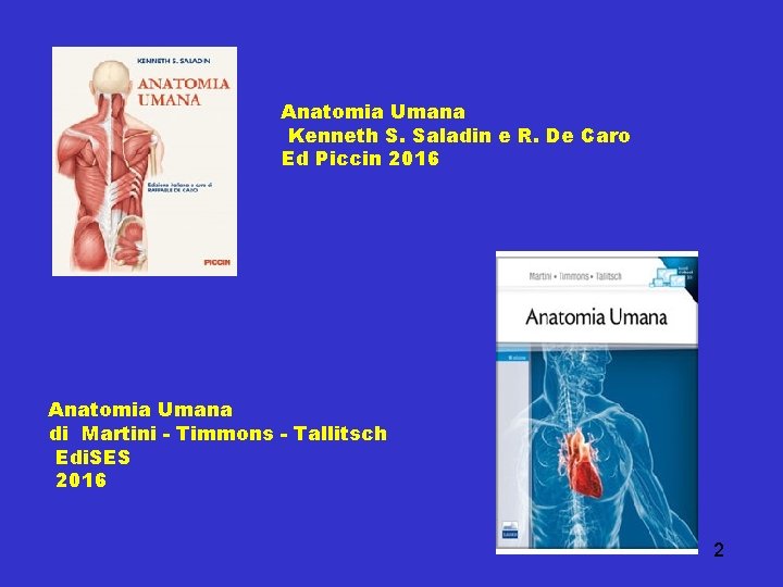 Anatomia Umana Kenneth S. Saladin e R. De Caro Ed Piccin 2016 Anatomia Umana