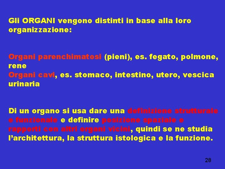 Gli ORGANI vengono distinti in base alla loro organizzazione: Organi parenchimatosi (pieni), es. fegato,