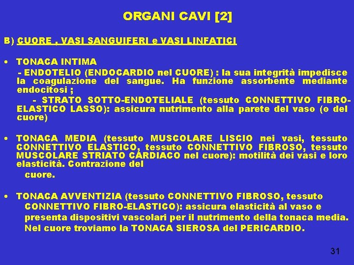ORGANI CAVI [2] B) CUORE , VASI SANGUIFERI e VASI LINFATICI • TONACA INTIMA