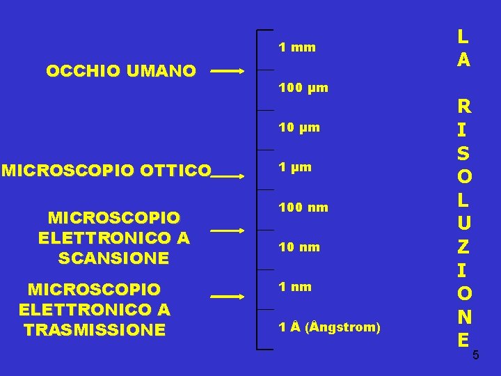 1 mm OCCHIO UMANO 100 µm 10 µm MICROSCOPIO OTTICO MICROSCOPIO ELETTRONICO A SCANSIONE
