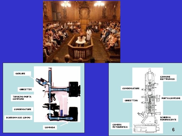 OCULARE CANNONE ELETTRONICO CONDENSATORE OBBIETTIVI TAVOLINO PORTA CAMPIONE OBBIETTIVO PORTA CAMPIONE CONDENSATORE SCHERMO FLUORESCENTE