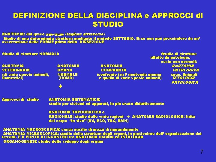DEFINIZIONE DELLA DISCIPLINA e APPROCCI di STUDIO ANATOMIA: dal greco (tagliare attraverso ) Studio