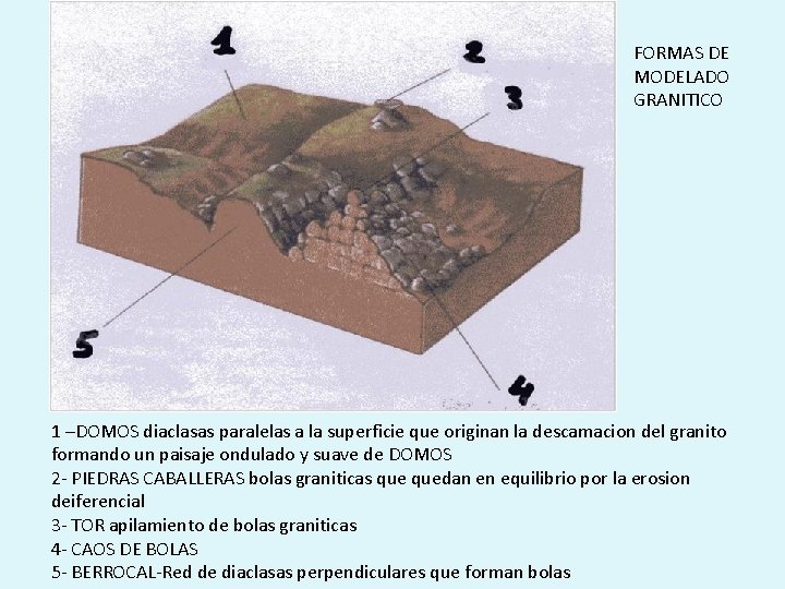 FORMAS DE MODELADO GRANITICO 1 –DOMOS diaclasas paralelas a la superficie que originan la