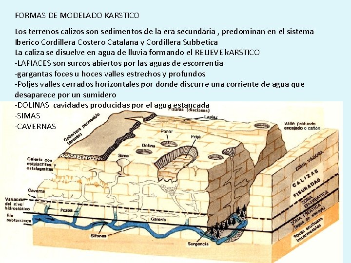 FORMAS DE MODELADO KARSTICO Los terrenos calizos son sedimentos de la era secundaria ,