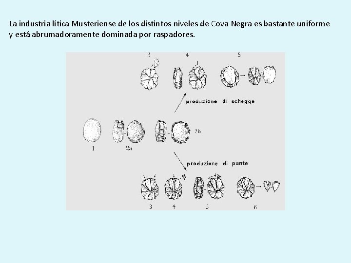 La industria lítica Musteriense de los distintos niveles de Cova Negra es bastante uniforme