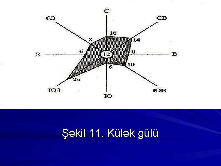 Şəkil 11. Külək gülü 