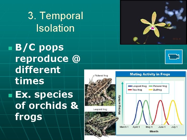 3. Temporal Isolation B/C pops reproduce @ different times n Ex. species of orchids
