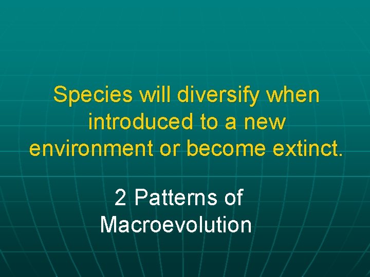 Species will diversify when introduced to a new environment or become extinct. 2 Patterns