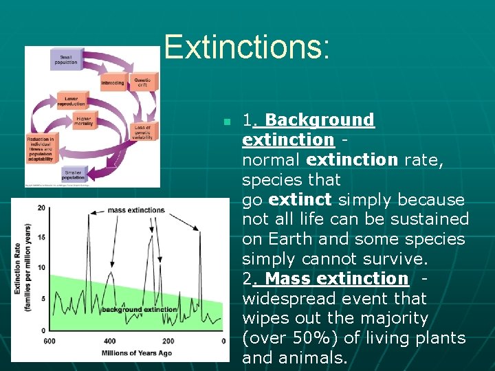 Extinctions: n 1. Background extinction - normal extinction rate, species that go extinct simply